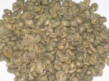 arabica green coffee beans
