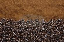 arabica coffee raw material