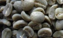 arabica  raw   coffee  beans