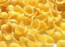 Single Screw Inflating Extruder for Pellet & Frying Snacks