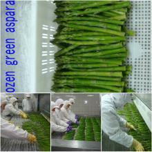frozen green asparagus