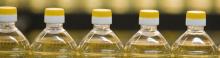 Shortening Palm Oil
