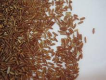  red   rice 