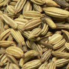 Fennel seed extract