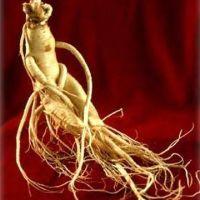 Ginseng Root P.E