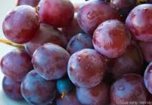 Grape Skin Extract