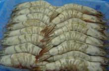 Frozen white shrimps for sale at very relative prices.