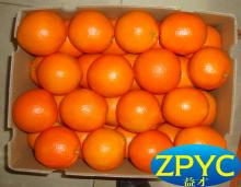  sweet   navel   orange s