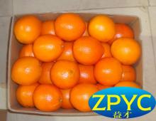 navel orange fruits