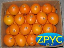  fresh   fruit - navel   orange 