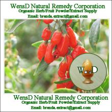 GMP/HACCP/ISO9001:2000, Instant & Organic Goji Berry Juice Concentrate (Powder)