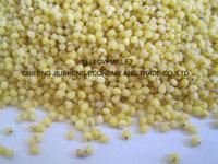 Yello Millet