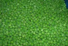 Istant Quick Frozen Green Peas IQF 10kg/ctn