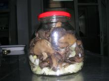 Canned Suillus Luteus Marinated in 580ml glass jars