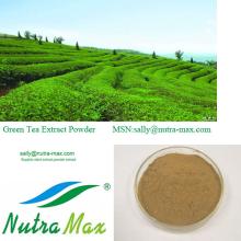 Green Tea Extract 30% L- Theanine