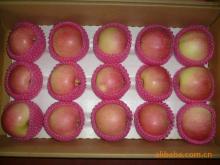  Red   Gala   APPLES 