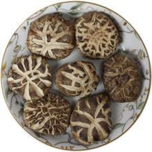 Tea flower shiitake mushroom B2