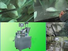 digital JGL200TR dumpling machine