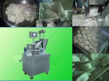 JGL200TR digital dumpling maker