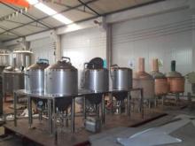 100L  home   brewery  equipment to Italy