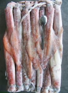 Frozen Squid Semi Block
