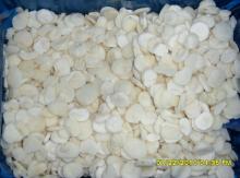  IQF   Water   Chestnut   Slices 