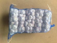 2011 chinese fresh new garlic 5.0cm
