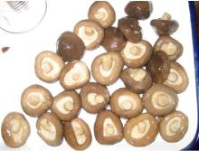 canned shiitake mushroom