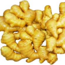 pesticide  free  ginger