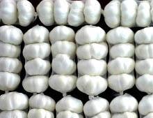 Garlic  export  to Europe