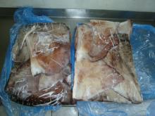 GIANT SQUID WINGS