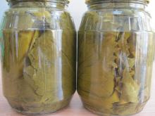 bottle grape leaf