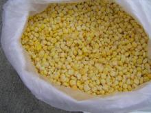  frozen   corn  kernel