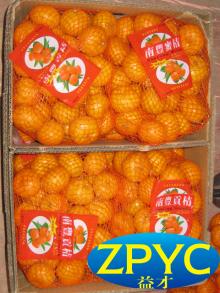 Fresh nanfeng mandarin