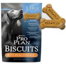 Pet Biscuit-6
