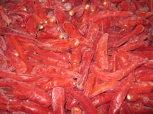 IQF frozen chilli (jinta)