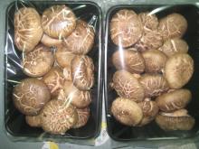 Fresh Shiitake Retailing Pack
