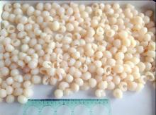 Lychee,litchi whole 567g