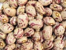 Light Speckled Kidney Beans Round Shape Xinjiang Origin