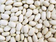 Small White Kidney Beans Japanese Type