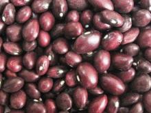 purple kidney beans( Round )
