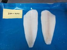 arrow tooth flounder fillet