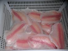 IQF  Tilapia   Fillet  normal skinned