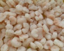 IQF raw PUD pink shrimp