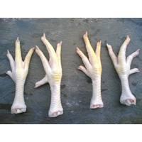 Chicken Feet and Paws