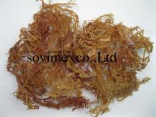  dry   seaweed 