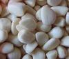  IQF   garlic   clove s
