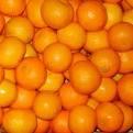 Huge quantity of Mandarin