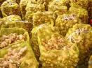 Huge quantity of fresh  ginger  for  sell 