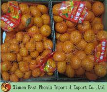 Baby Mandarin Orange E-007